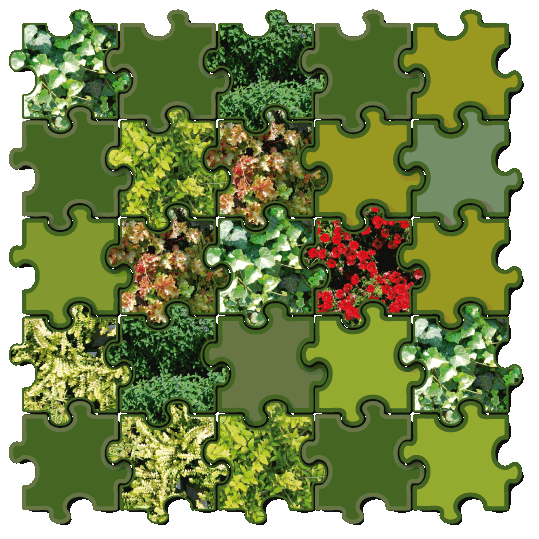 parete--puzle